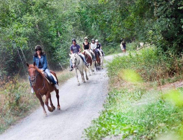 Inicio de ruta equina por el sendero